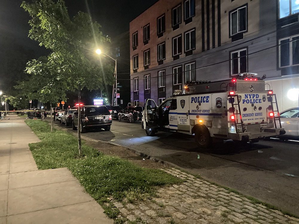 Woman Shot in Eye at Bronx Playground Dies