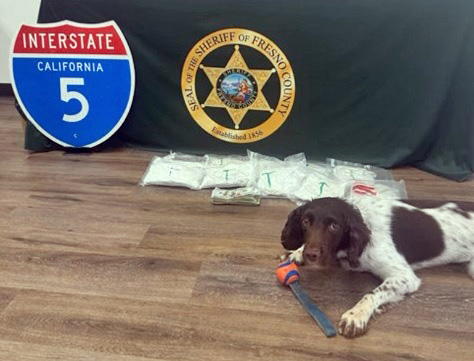 K-9 Willow finds another stash of meth during I-5 traffic stop in Fresno County
