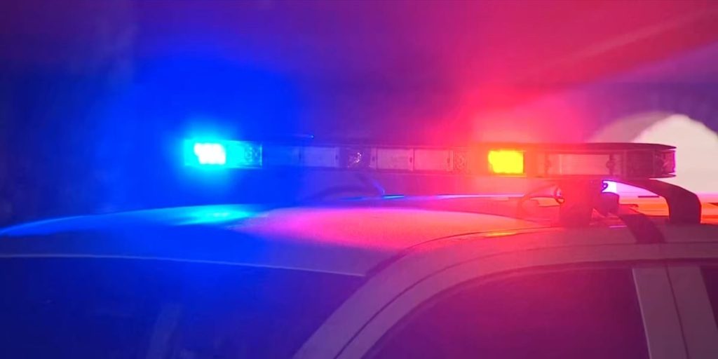 Dog Triggers Shotgun, Injures Woman at Scottsbluff Convenience Store