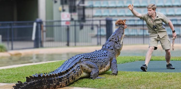 Robert Irwin's Quick Thinking Averts Croc Disaster on The Tonight Show