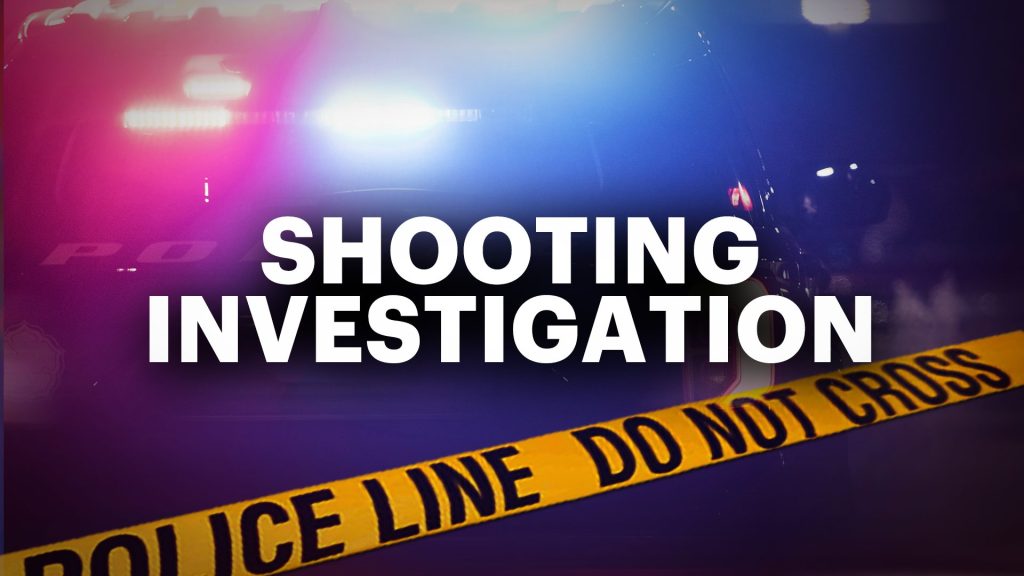 8 Detained After Brownsville Shooting at 3 AM