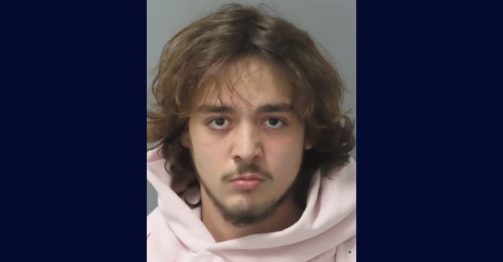 Shot up her vehicle': Teen road rager pumped bullet into pregnant mom returning home from maternity checkup with her 2-year-old and the toddler's father, cops say