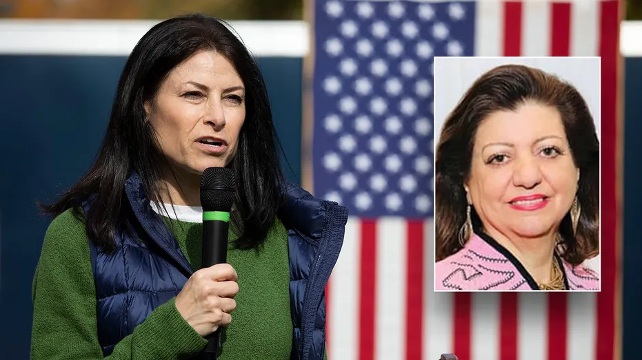 Dem donor's $20M taxpayer-funded payday leads to felony charges