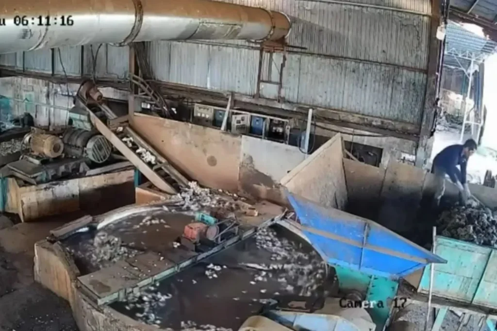 Caught on Camera: Factory Worker Pulled into Giant Shredder