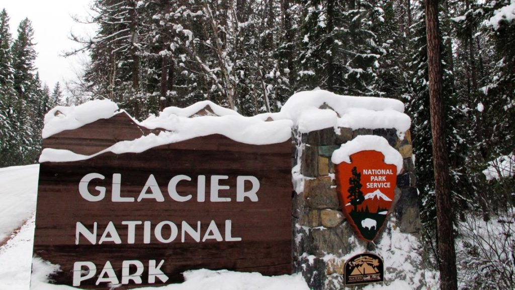 First Fatal Bear Attack in Glacier Park Since 1998 Prompts Trail Closure