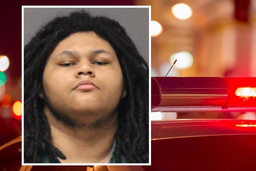 18-Year-Old Louis Brown Charged in Gruesome Stabbing of Grandmother