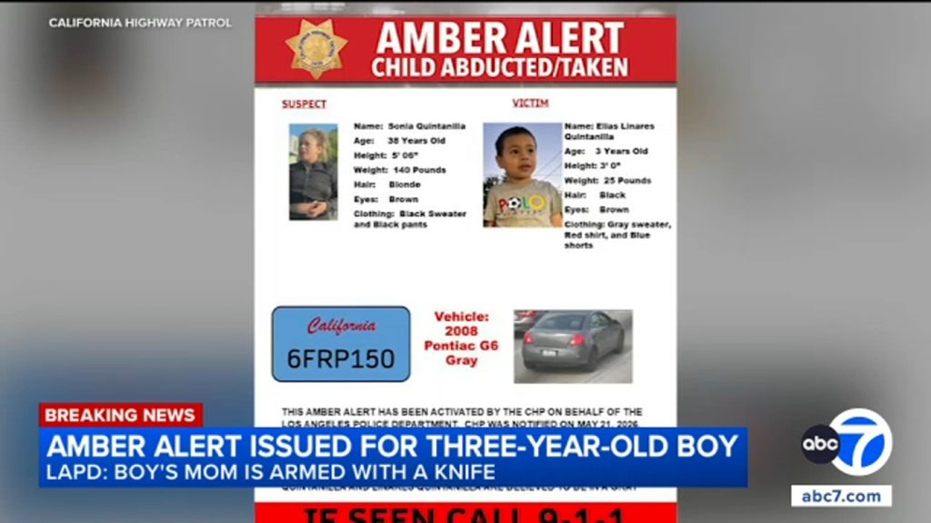 Amber Alert: 3-Year-Old Boy Taken by Mother