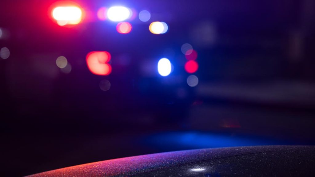 Homicide Investigation Launched After Actor Stewart McLean Found Dead in BC