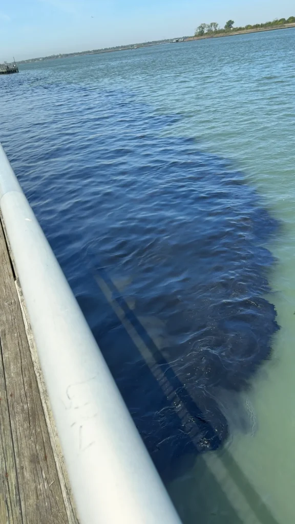 30K gallons of sewage dumped in Long Island waterway