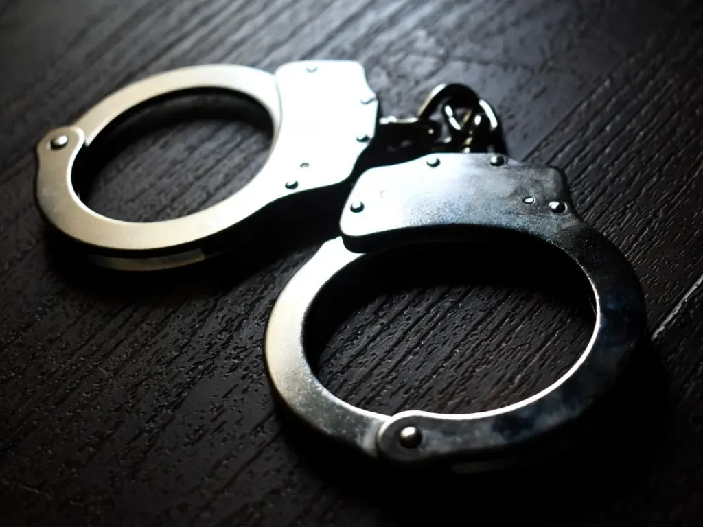 Glenview Woman Accused Of Stealing $44K From IL Disability Program