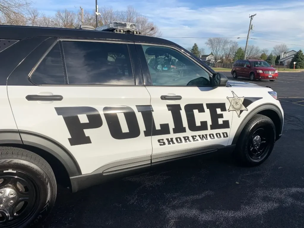 Dog's Cruel Death Caught on Camera at Shorewood Parking Lot: Pet Owner in His 50s Pleads Guilty