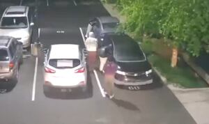 14 Cars Smashed in Parkland, Police Hunt for 4 Suspects