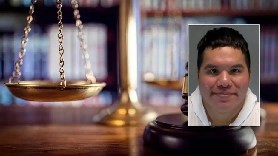 Killer compares stabbing aunt to Play-Doh carving