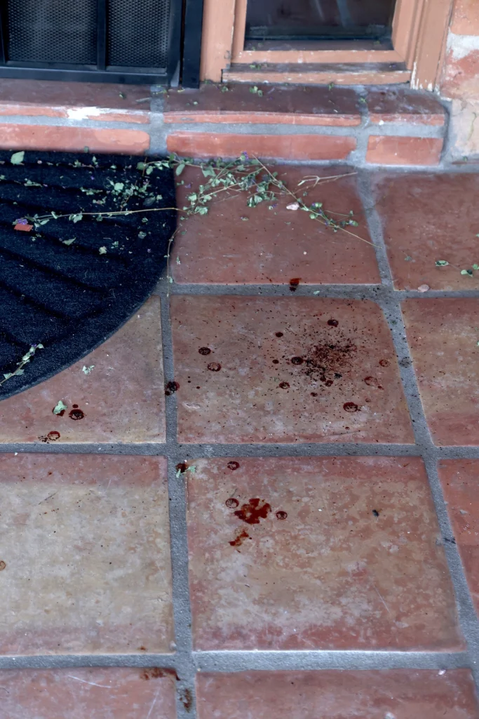 Blood spatter clue reveals Nancy Guthrie was alive when abducted: FBI