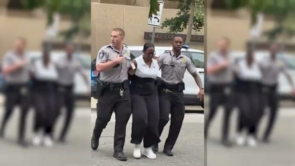 Woman Accused in Courthouse Shooting Has Pattern of Lawsuits