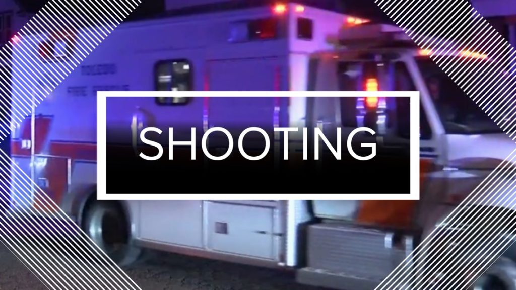 Bryan Police Seek Community's Help in 3 a.m. Shooting Investigation