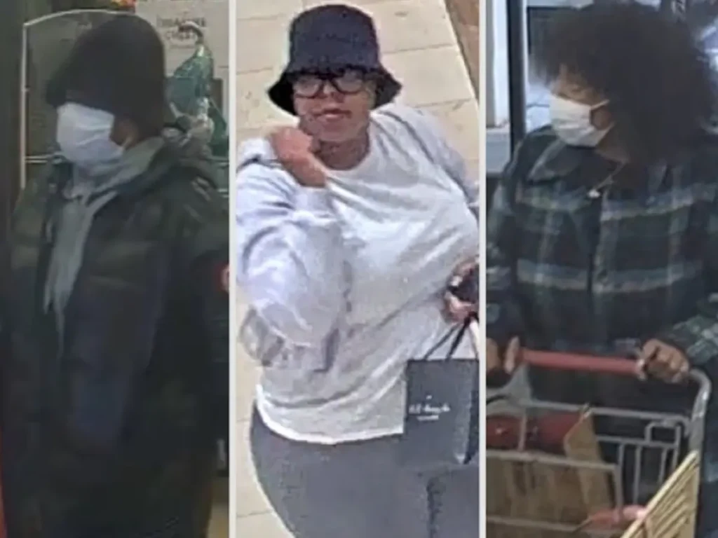 Caught on Camera: Wallet Theft, Credit Card Fraud in Commack