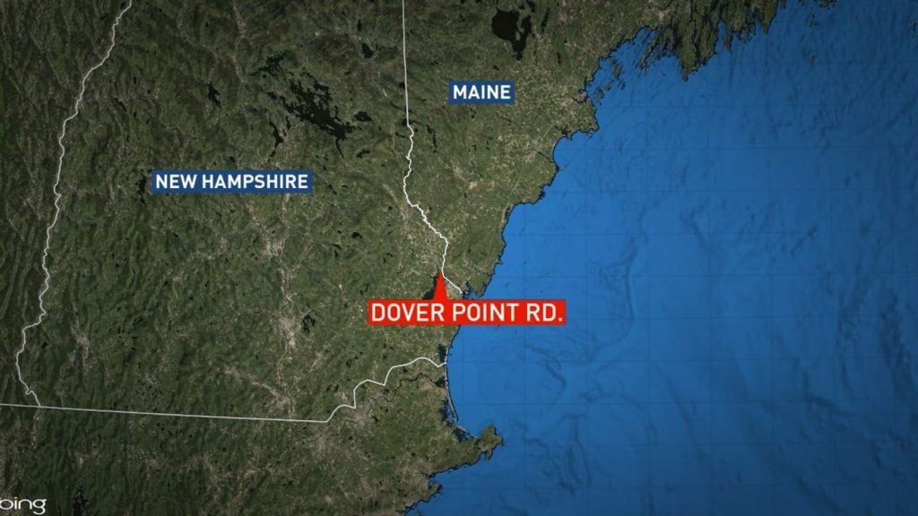 Mother, Son Found Dead in Dover; Murder-Suicide Suspected