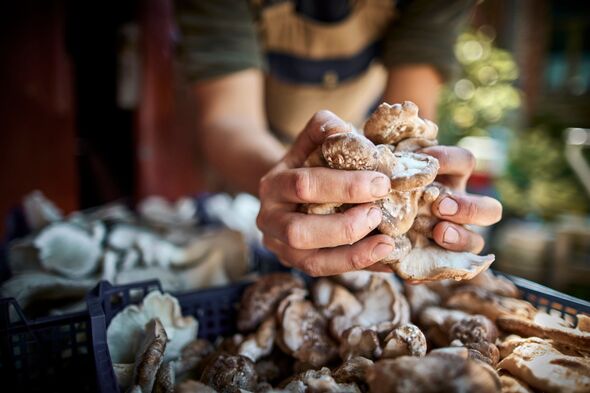 Unprecedented outbreak: 3 more Californians poisoned by wild mushrooms