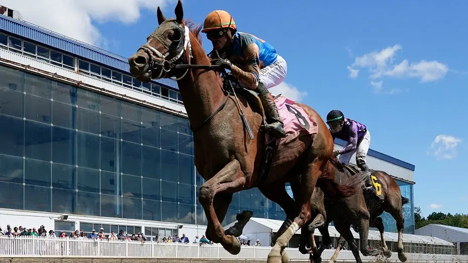 Horse collapses and dies after first career race at Preakness