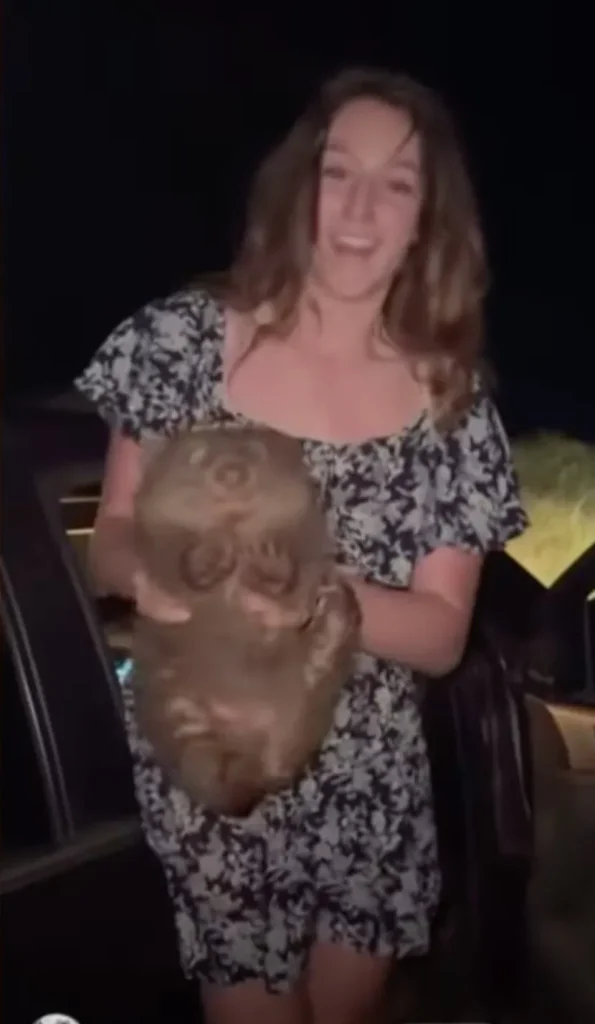 Influencer's Shocking Crime Caught on Camera: Consequences Await
