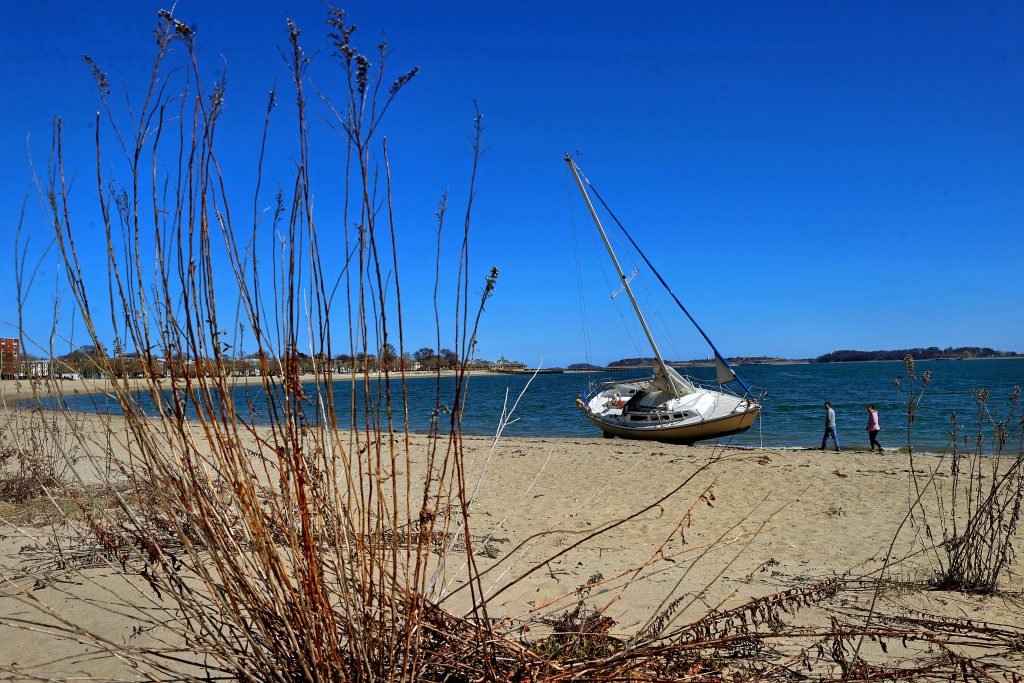 Large Fight Breaks Out at Carson Beach, Lots Closed