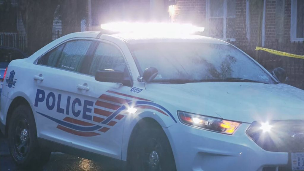 Dog Stabbed in Southeast DC; Suspect Still at Large
