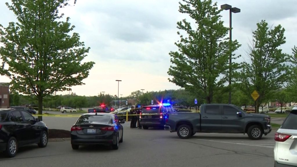 Mom shot in front of son in Oakland County carjacking: Miracle survival