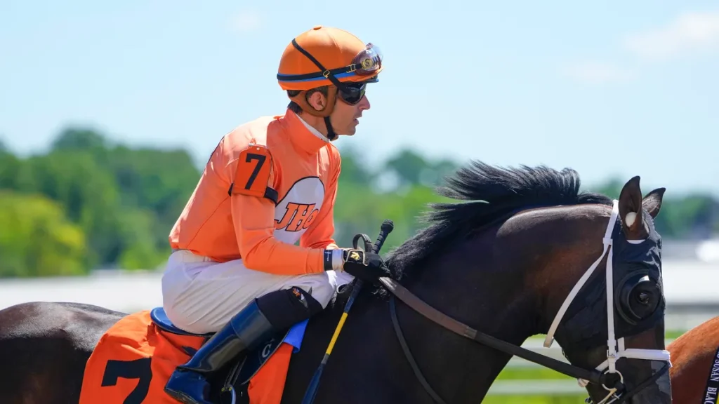 Horse dies at Laurel Park before Preakness Stakes: tragedy strikes