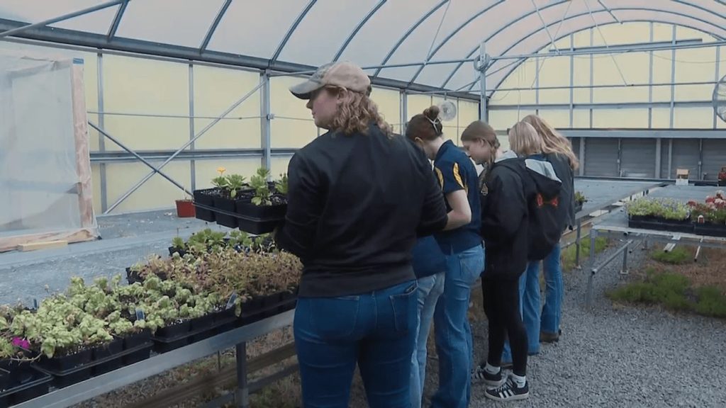 Community Honors Taryn Morgan with Greenhouse Fundraiser After Tragic Death