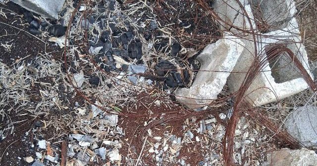 Activists Uncover Two Cartel Incineration Sites Near Texas Border