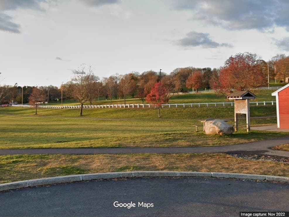 3 Suspects Flee Into Woods After Car Theft Crash