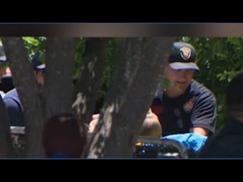 Wanted Felon Shot During Police Search on Vera Cruz