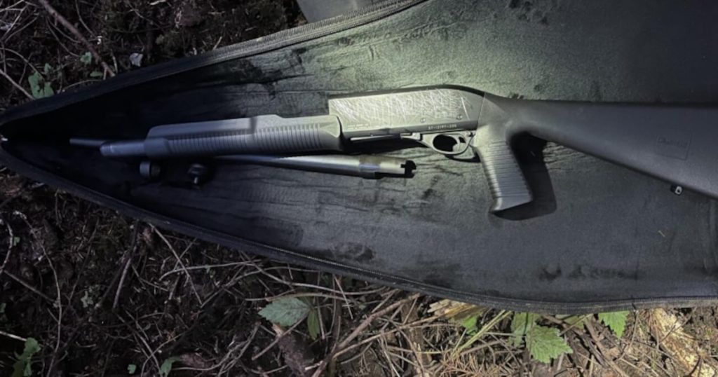 Tacoma Student Detained After Police Uncover Buried Shotgun in Bellevue Woods