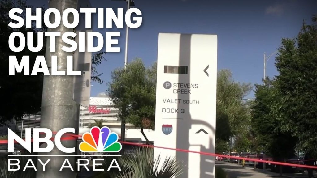 Shooting at Valley Fair Mall Parking Lot