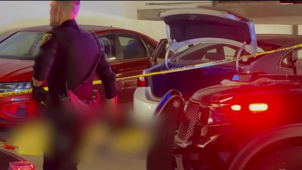 Overdose Suspected in Deaths of Two Adults at San Jose State Garage