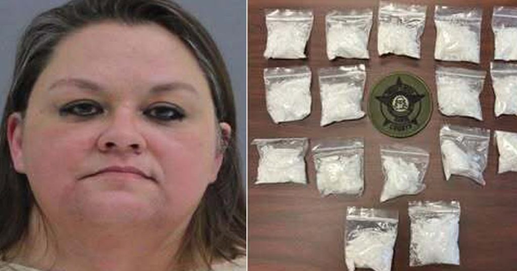K9 Unit Leads to Meth Trafficking Arrest in Rabun County Traffic Stop