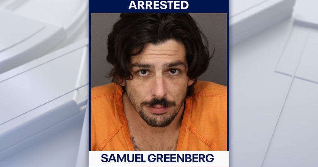 St. Petersburg Police Use K9s and Drones to Arrest Armed Robbery Suspect