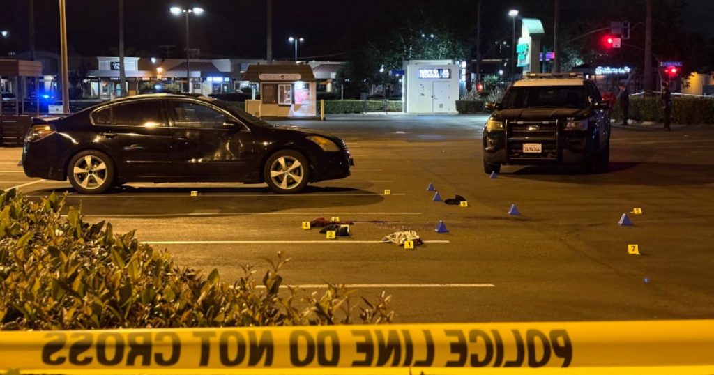 Brother Charged in Fatal Stabbing at San Diego Shopping Center