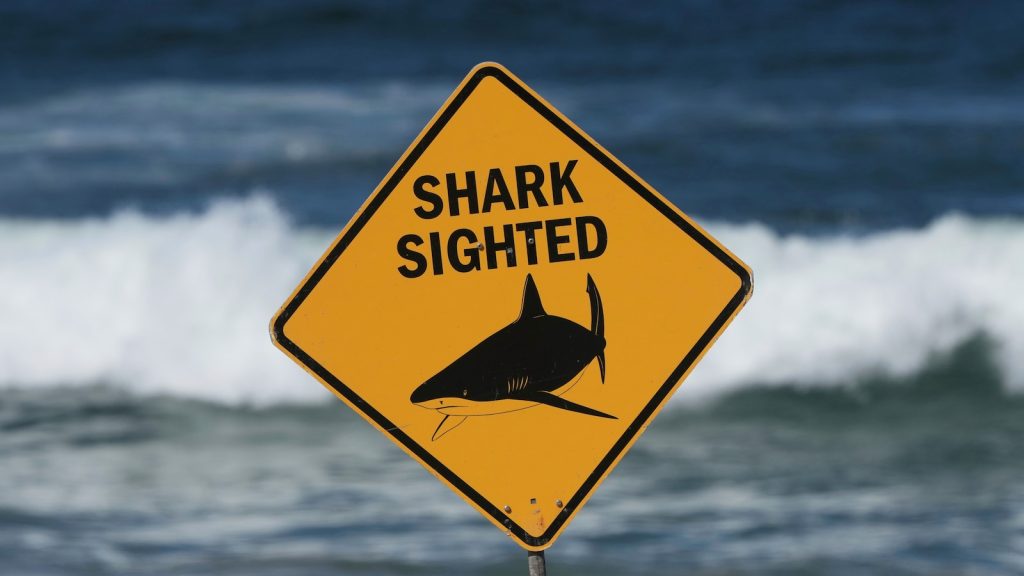 Queensland Spearfisher Mauled by Shark at Kennedy Shoal, Dies from Head Injury