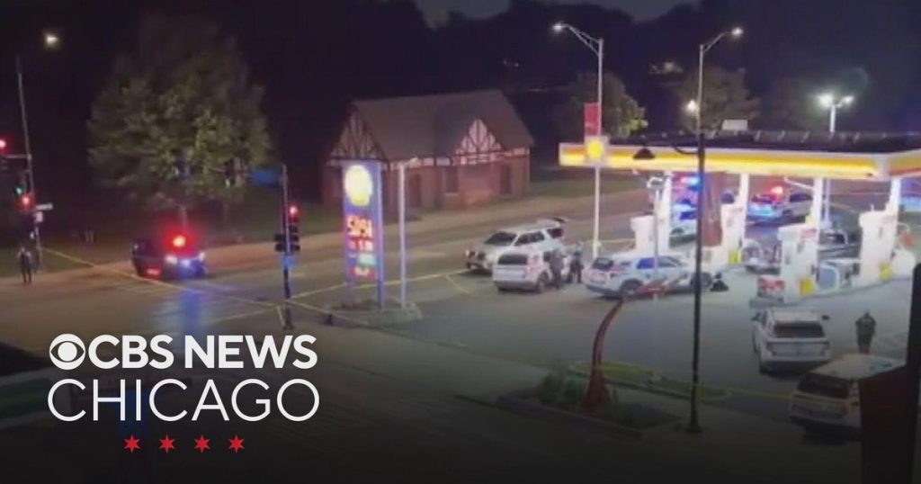 Driver Killed in Oak Park Police Shooting Over Gun