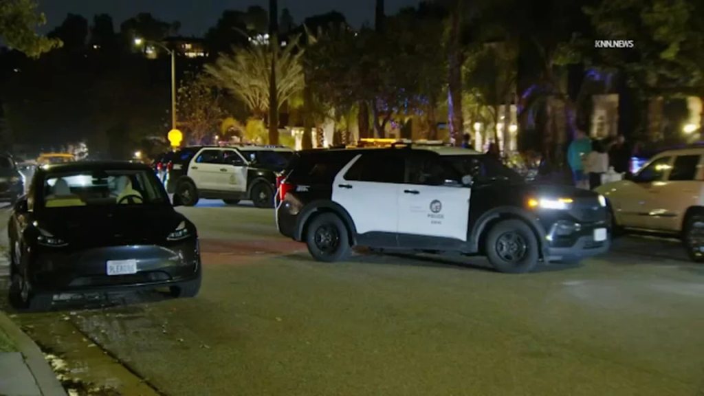 Over 100 Arrested in LA's Organized Burglary Ring