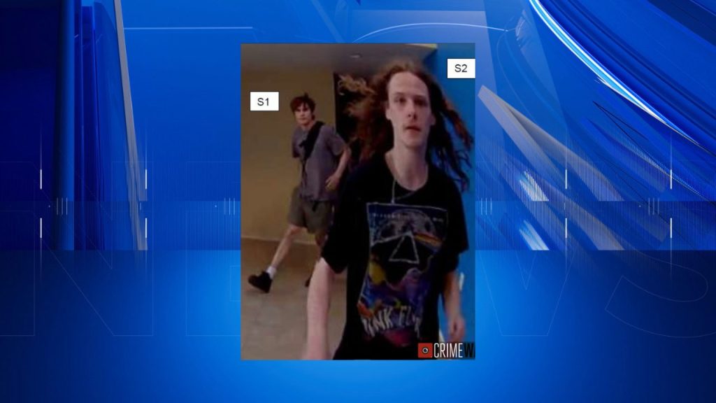 Brighton Police Seek 2 Suspects in Westfall Road Burglary