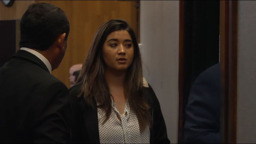 Mom Took 4-Year-Old Daughter in Custody Fight