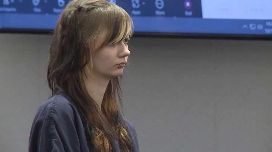 Las Vegas Woman, 20, Pleads Guilty in Photographer's Death
