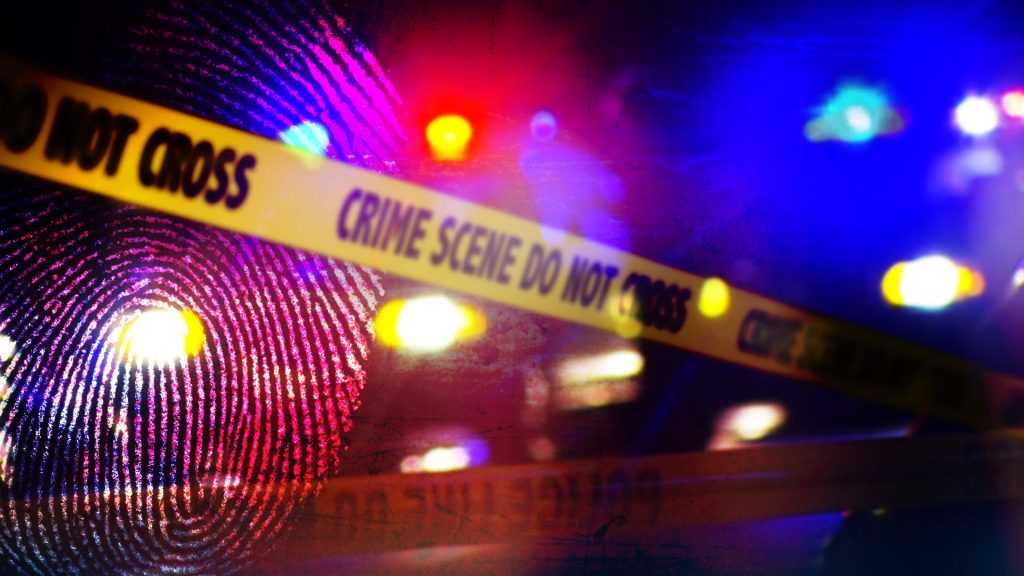 Rahway Man Charged in Park Shooting, Carjacking